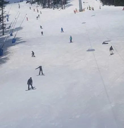 Ryll * 브라운라제