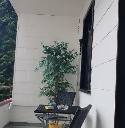 Ryll 브라운라제