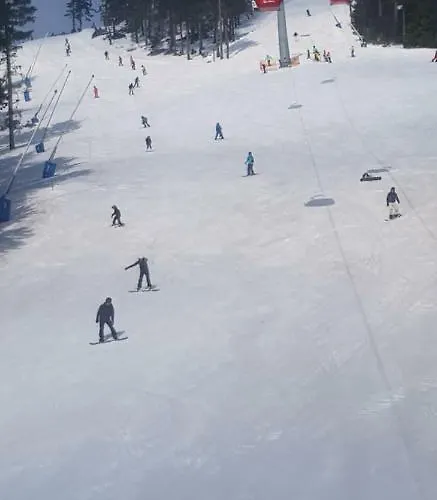 Ryll * برونلاغ